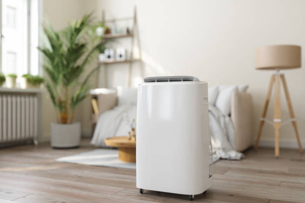 Best Air Conditioning Cleaning in Ilco, WA